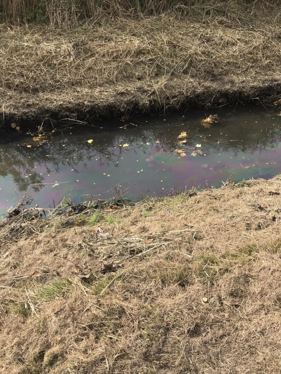 Podróż szlakiem Soplicy - sprzątanie Strzybnicy