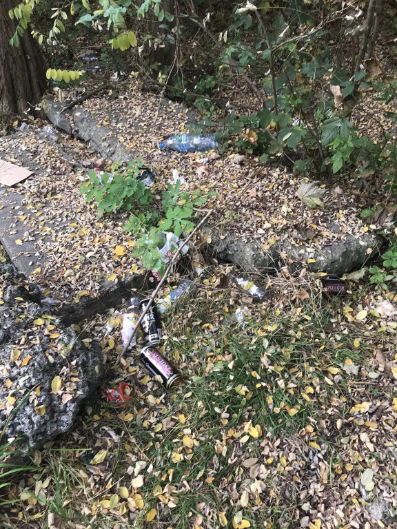 Podróż szlakiem Soplicy - sprzątanie Strzybnicy