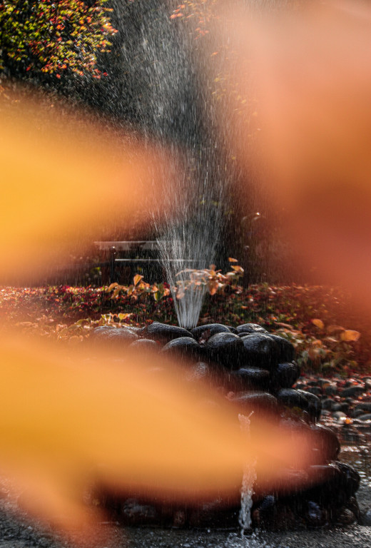 Tarnowskie Góry i barwy jesieni