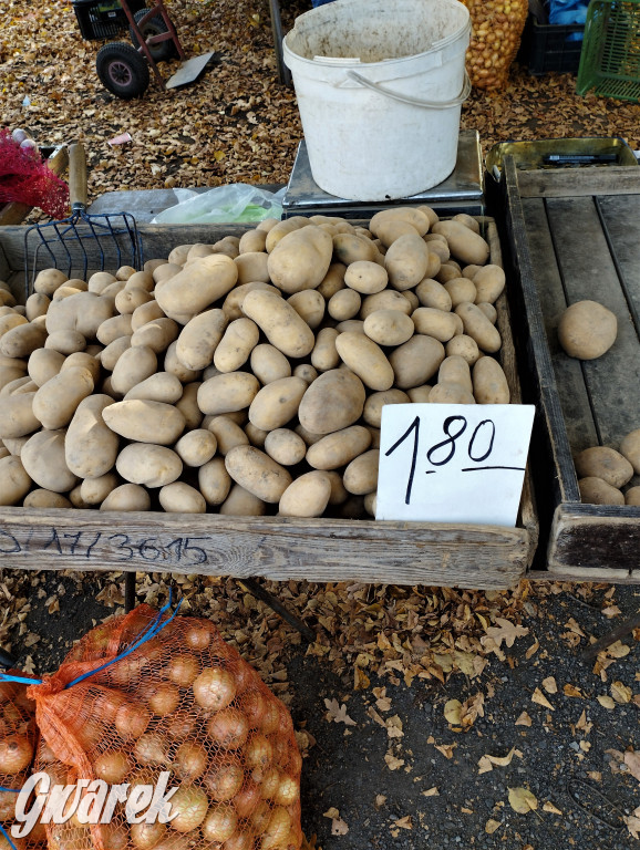 Tarnowskie Góry. Takie ceny dzisiaj na targu