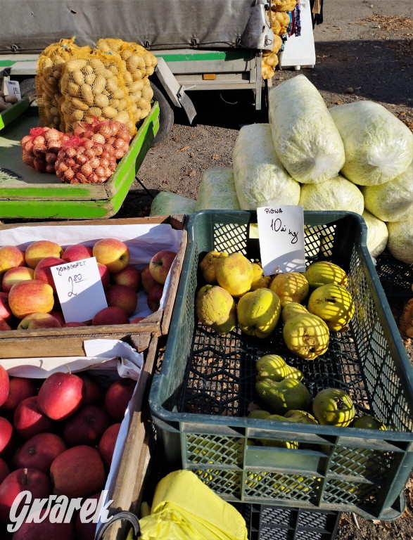 Tarnowskie Góry. Takie ceny dzisiaj na targu