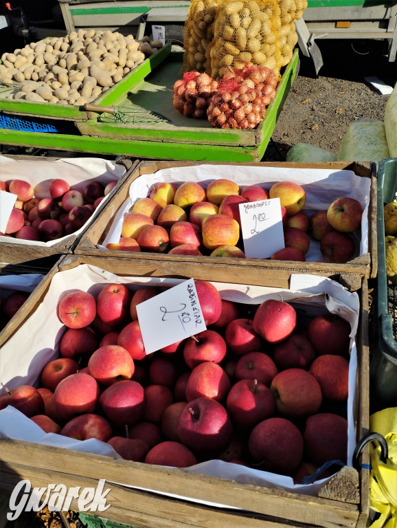 Tarnowskie Góry. Takie ceny dzisiaj na targu