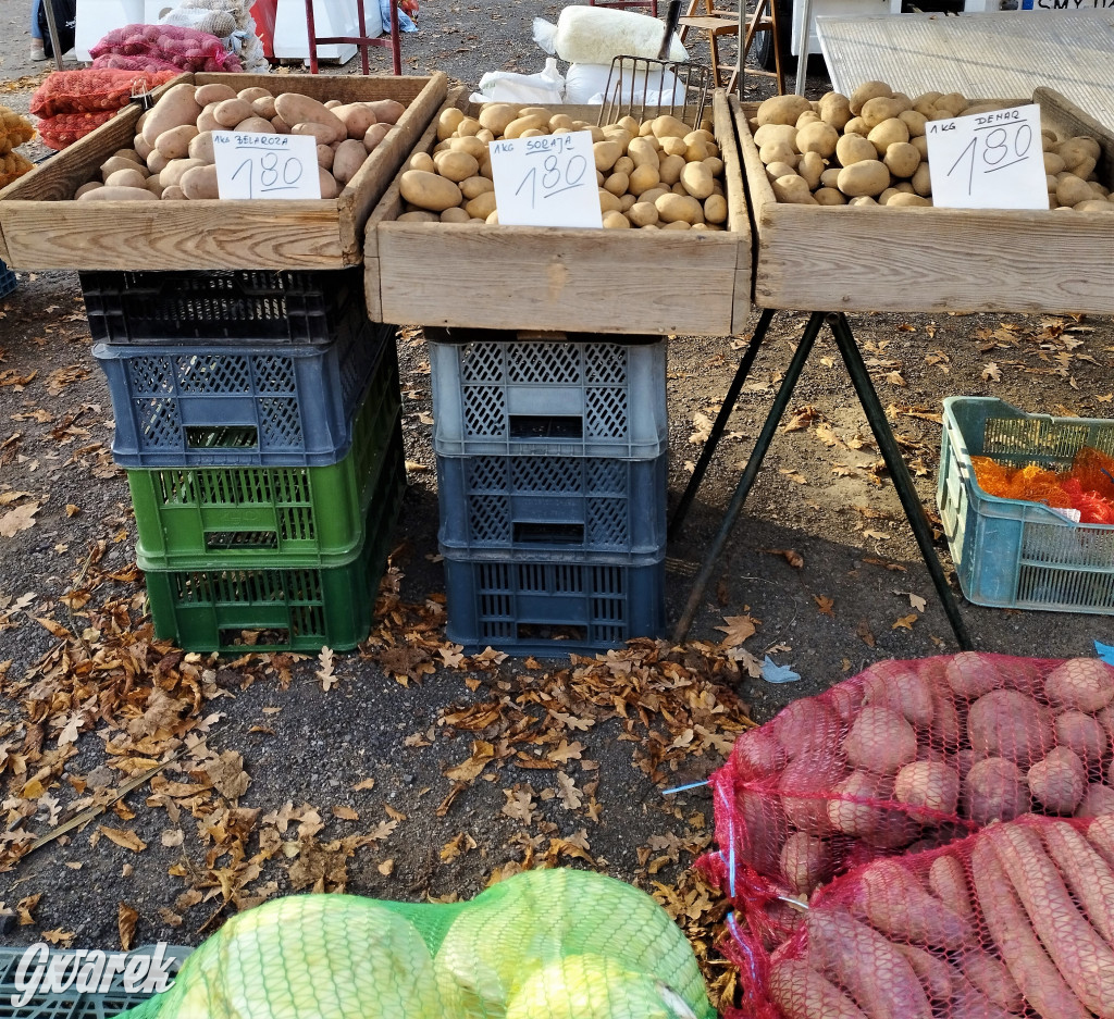 Tarnowskie Góry. Takie ceny dzisiaj na targu