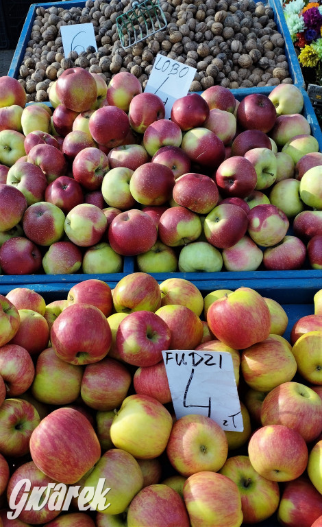 Tarnowskie Góry. Takie ceny dzisiaj na targu