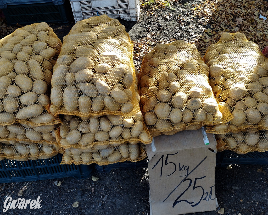 Tarnowskie Góry. Takie ceny dzisiaj na targu