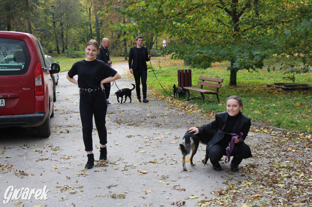 Kalendarz z wolontariuszami i zwierzakami