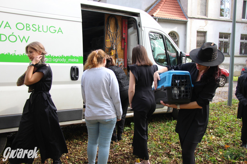 Kalendarz z wolontariuszami i zwierzakami