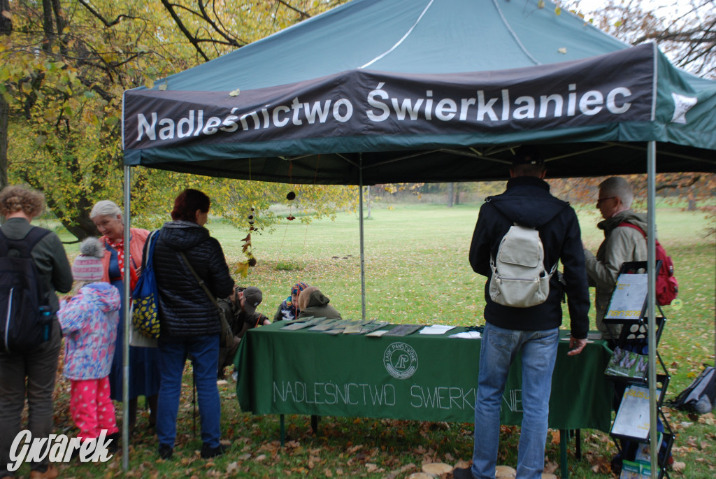 Świerklaniec. Kawaleryjski hubertus w parku