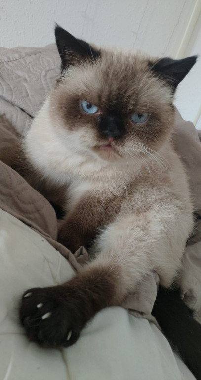 Plebiscyt Superzwierzaki w obiektywie