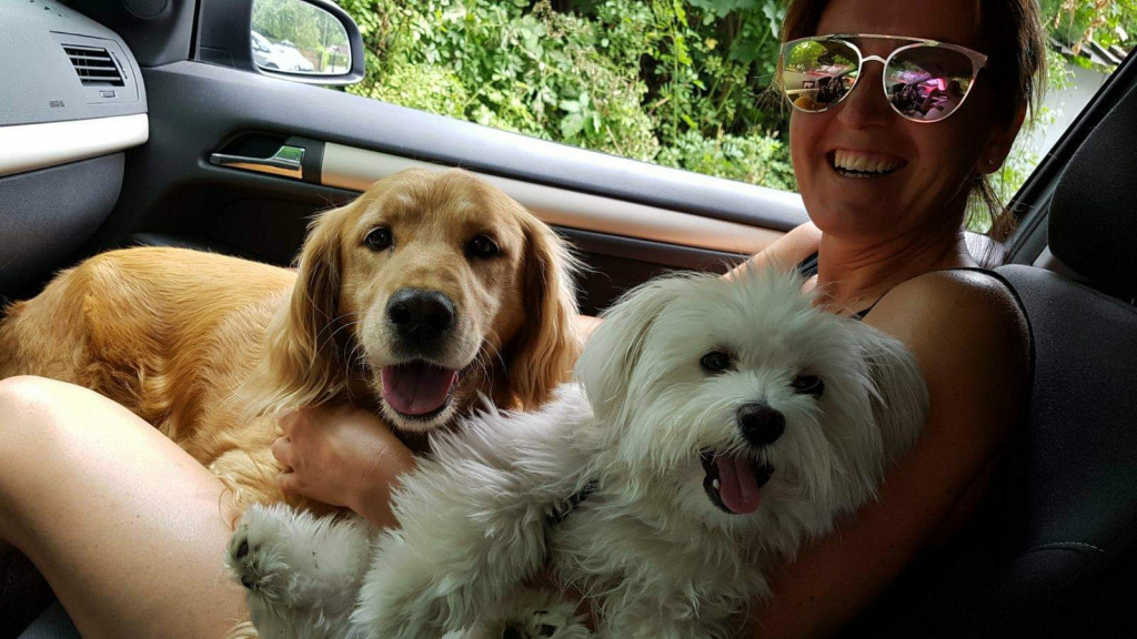 Plebiscyt Superzwierzaki w obiektywie