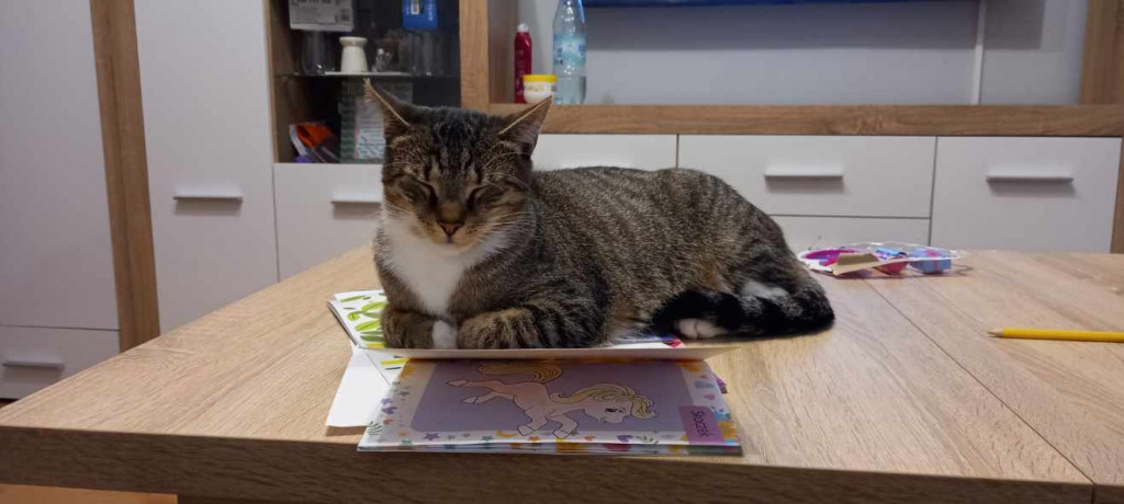 Plebiscyt Superzwierzaki w obiektywie