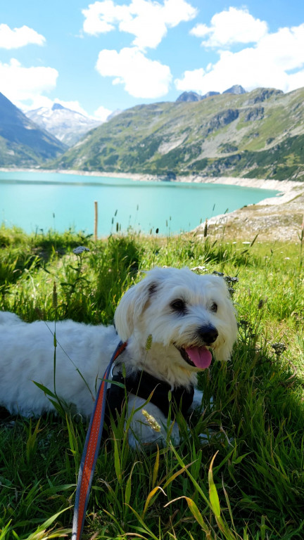 Plebiscyt Superzwierzaki w obiektywie