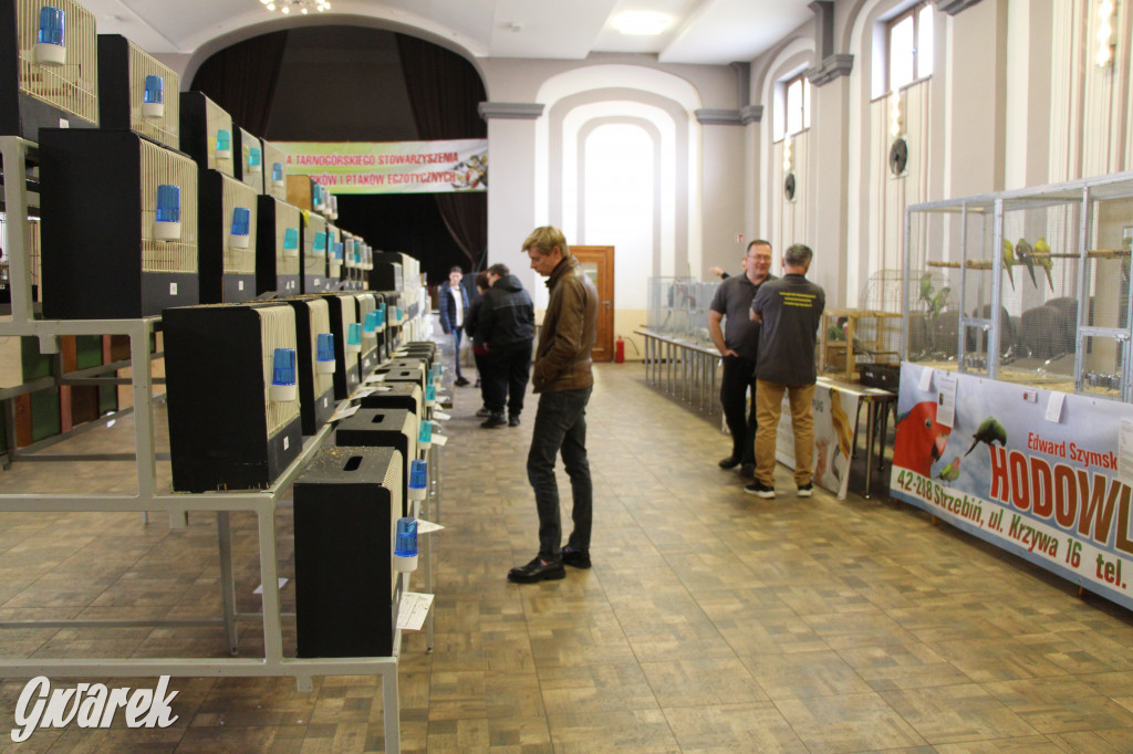 Wystawa ptaków egzotycznych w Tworogu