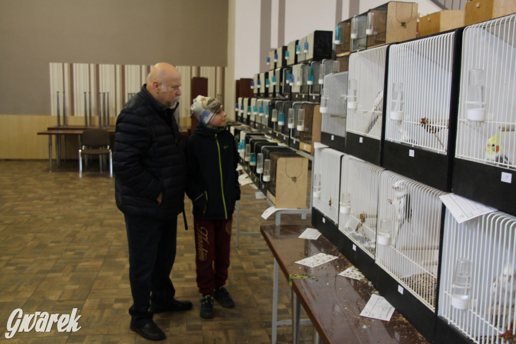 Wystawa ptaków egzotycznych w Tworogu