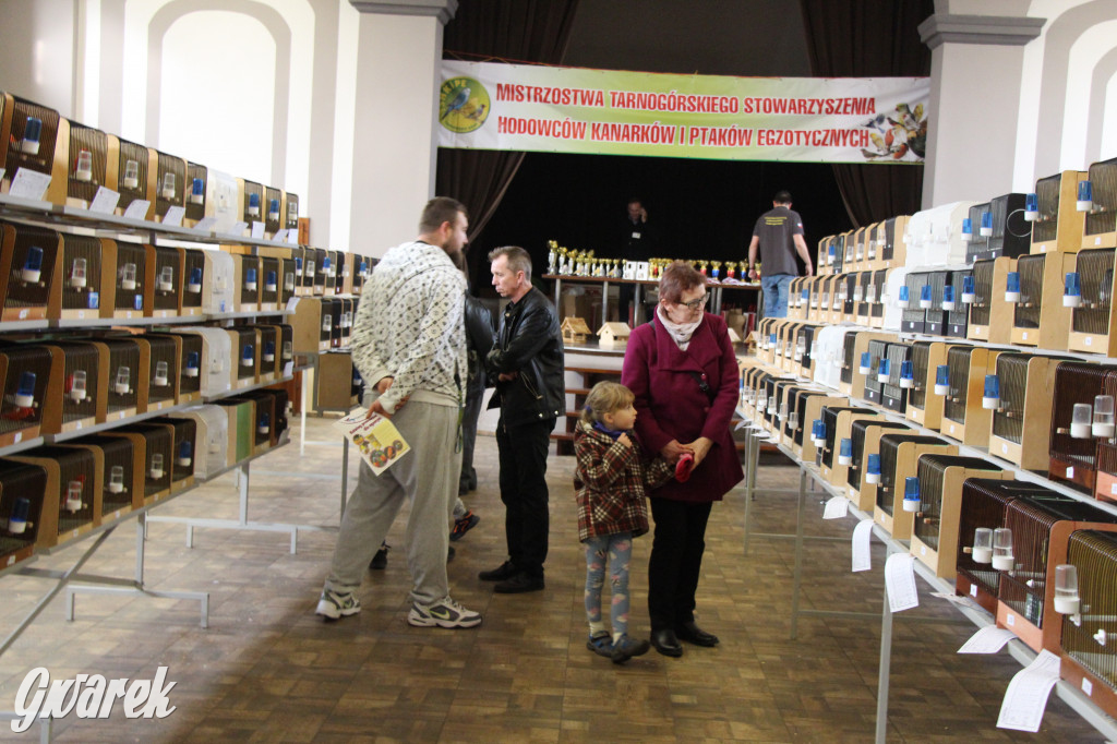 Wystawa ptaków egzotycznych w Tworogu