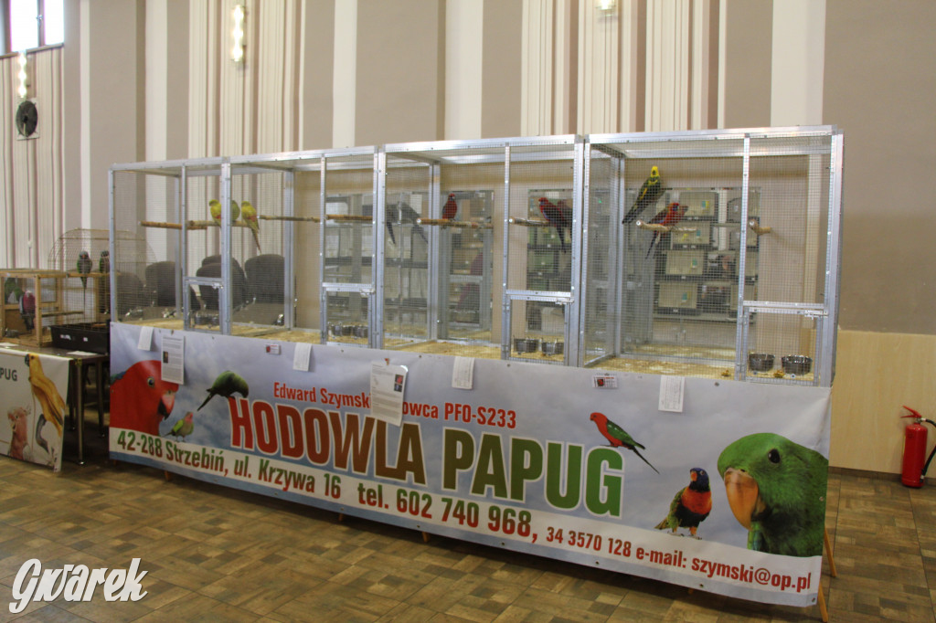 Wystawa ptaków egzotycznych w Tworogu