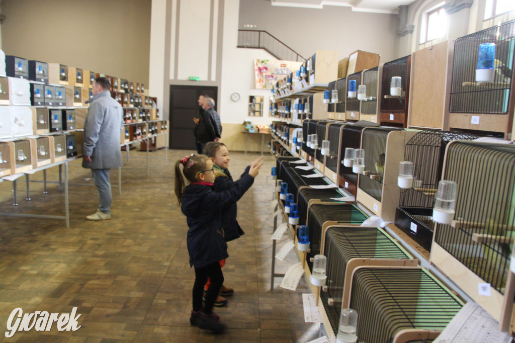 Wystawa ptaków egzotycznych w Tworogu