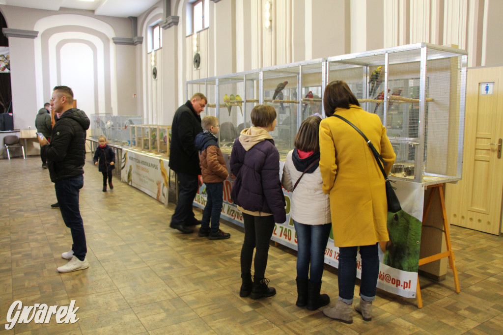 Wystawa ptaków egzotycznych w Tworogu