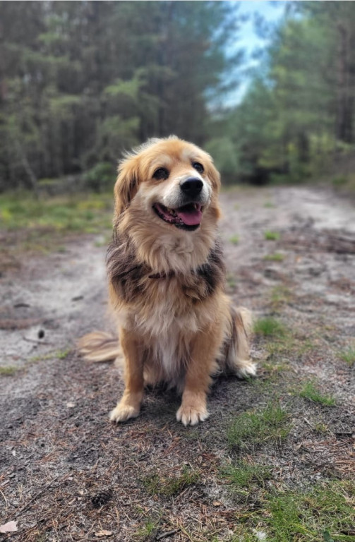 Plebiscyt Superzwierzaki w obiektywie