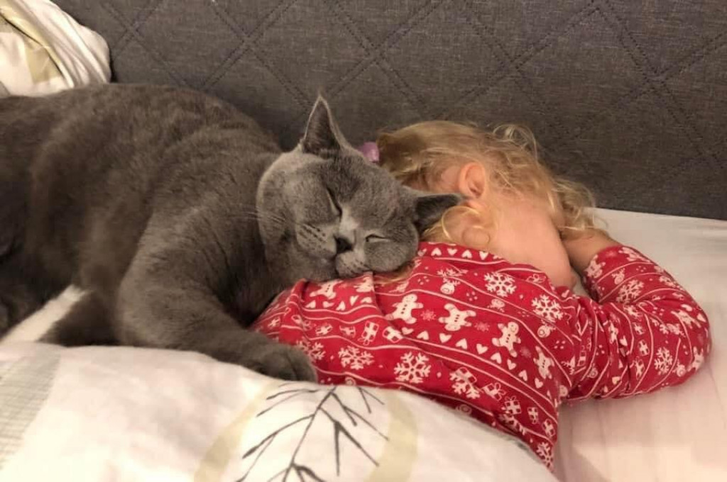 Plebiscyt Superzwierzaki w obiektywie