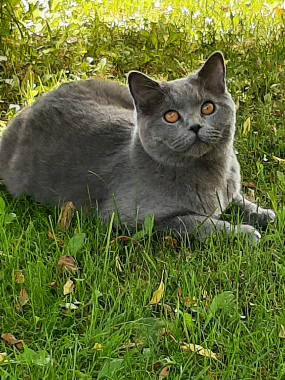 Plebiscyt Superzwierzaki w obiektywie