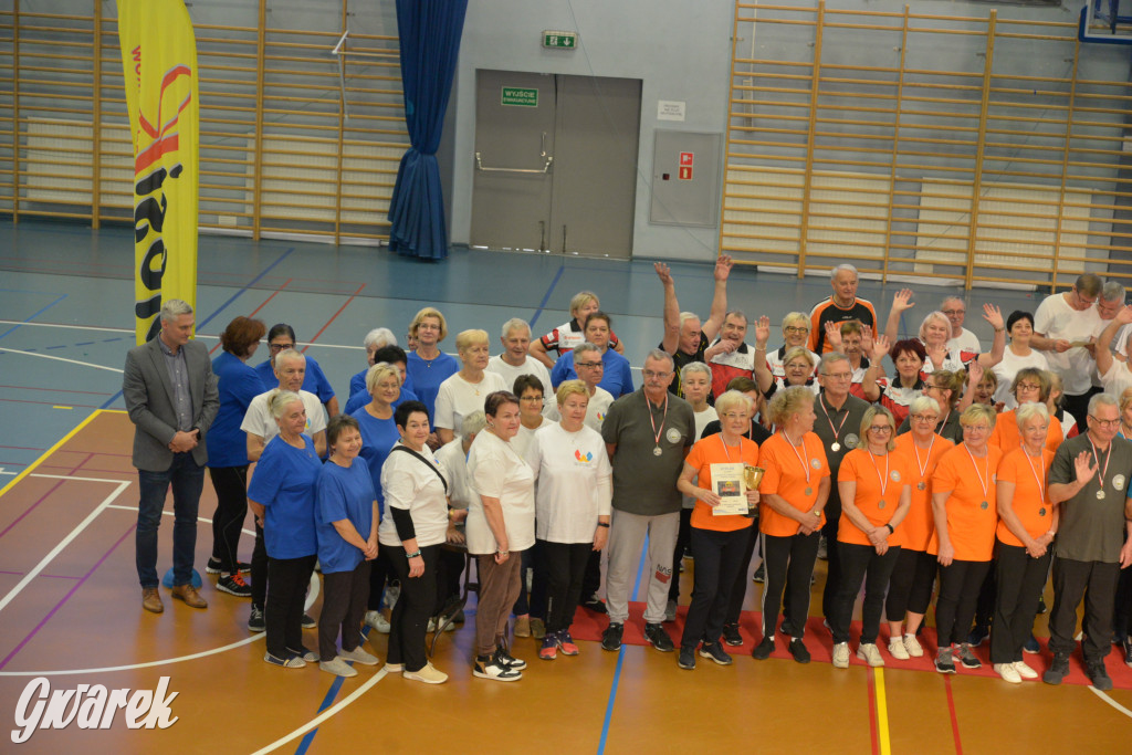 VI Sportowa Olimpiada Seniorów w Radzionkowie