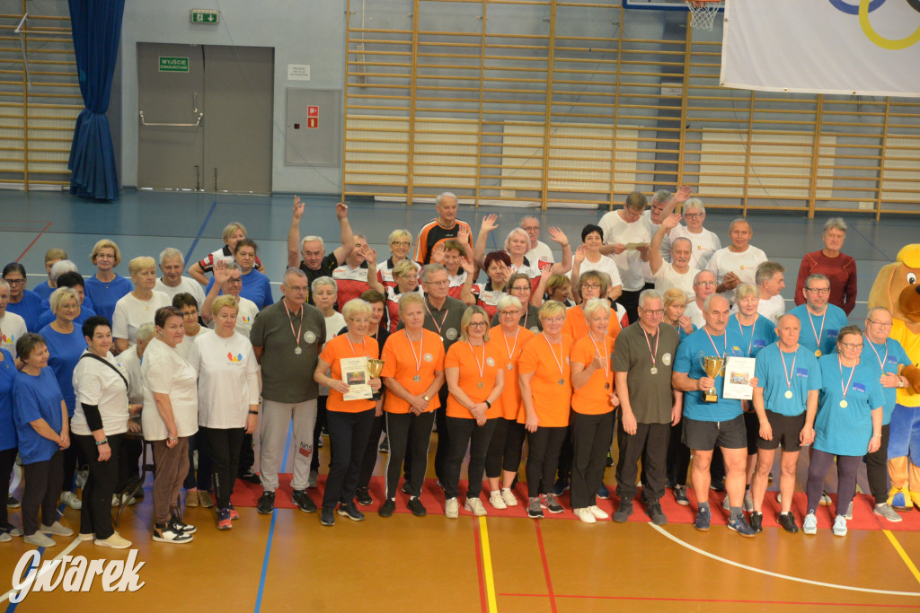 VI Sportowa Olimpiada Seniorów w Radzionkowie