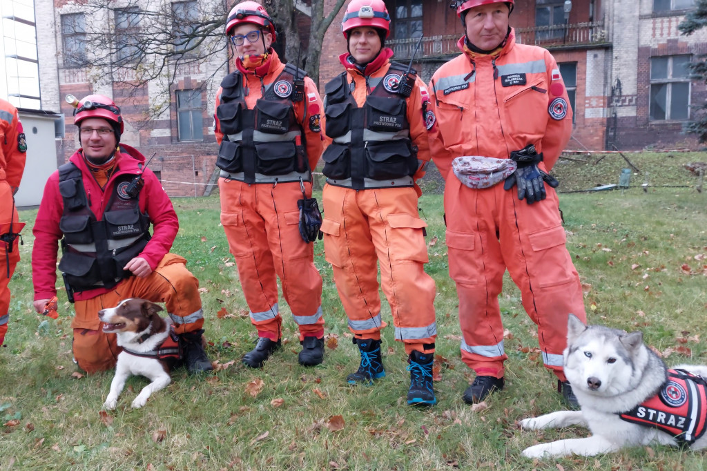 Bytom. Orzech. Niezawodny psi nos