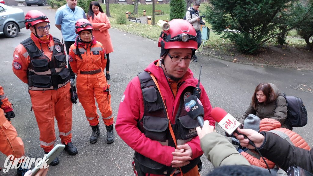 Bytom. Orzech. Niezawodny psi nos