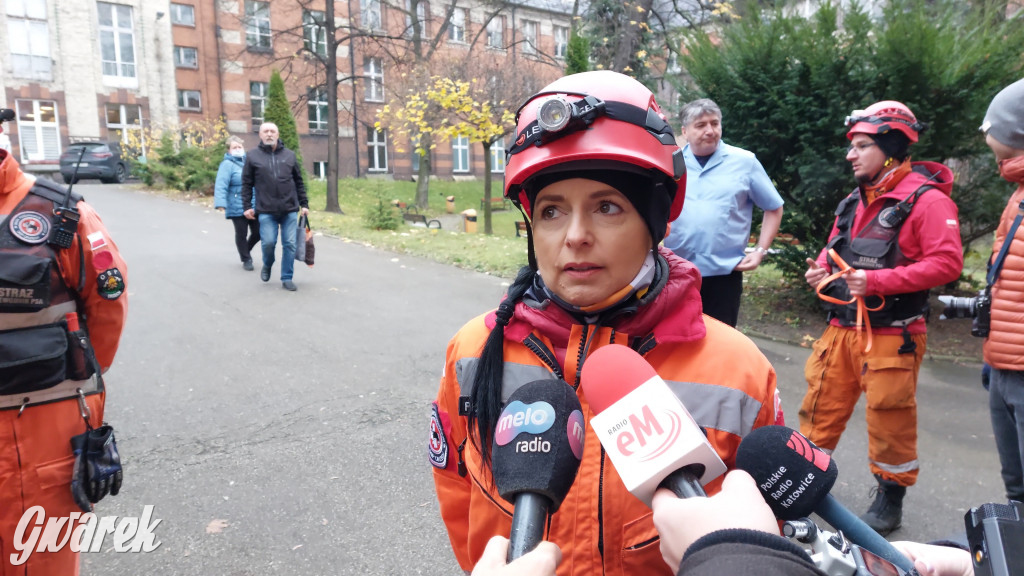 Bytom. Orzech. Niezawodny psi nos