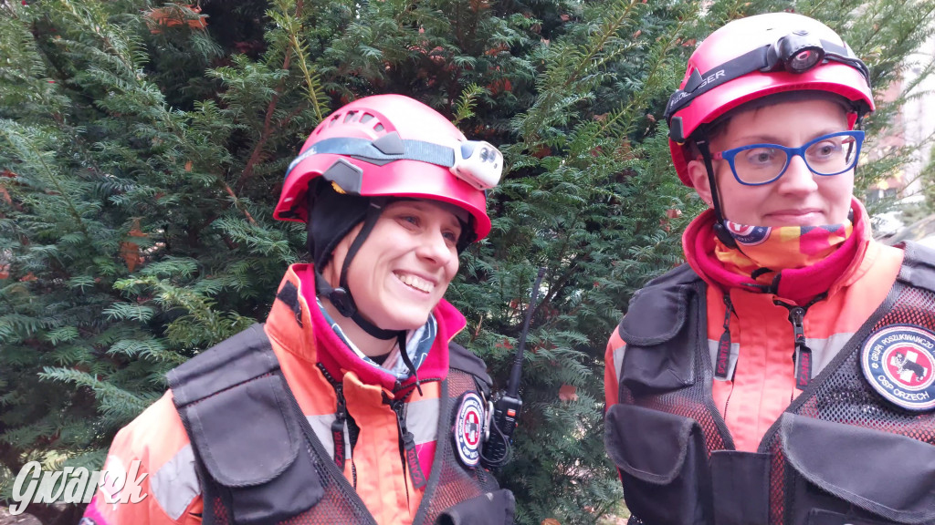 Bytom. Orzech. Niezawodny psi nos