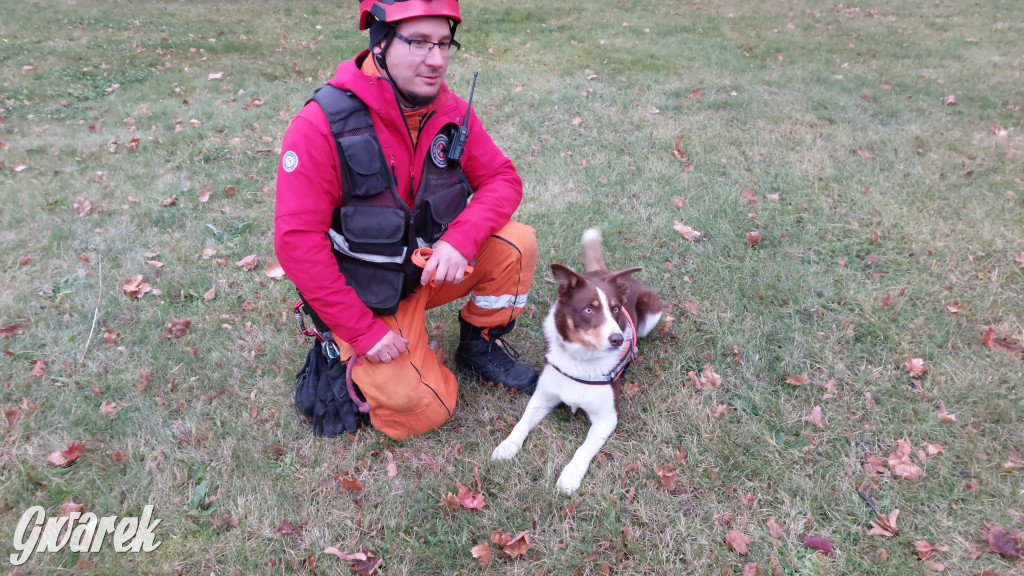 Bytom. Orzech. Niezawodny psi nos