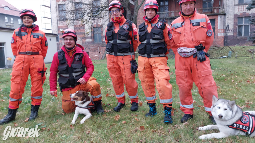 Bytom. Orzech. Niezawodny psi nos