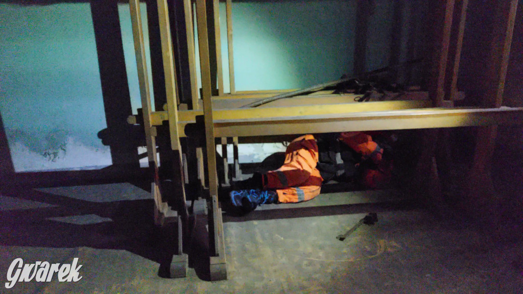 Bytom. Orzech. Niezawodny psi nos