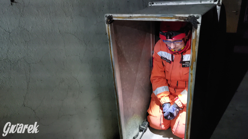 Bytom. Orzech. Niezawodny psi nos