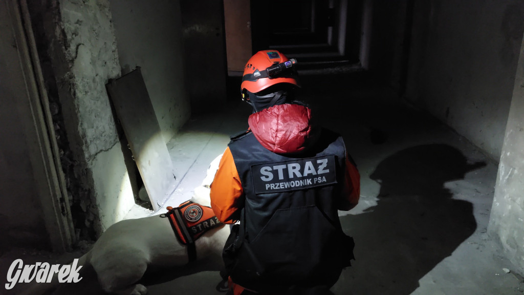 Bytom. Orzech. Niezawodny psi nos