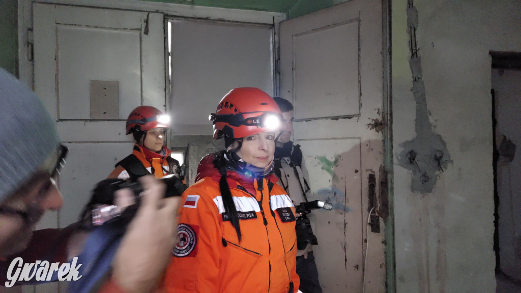 Bytom. Orzech. Niezawodny psi nos