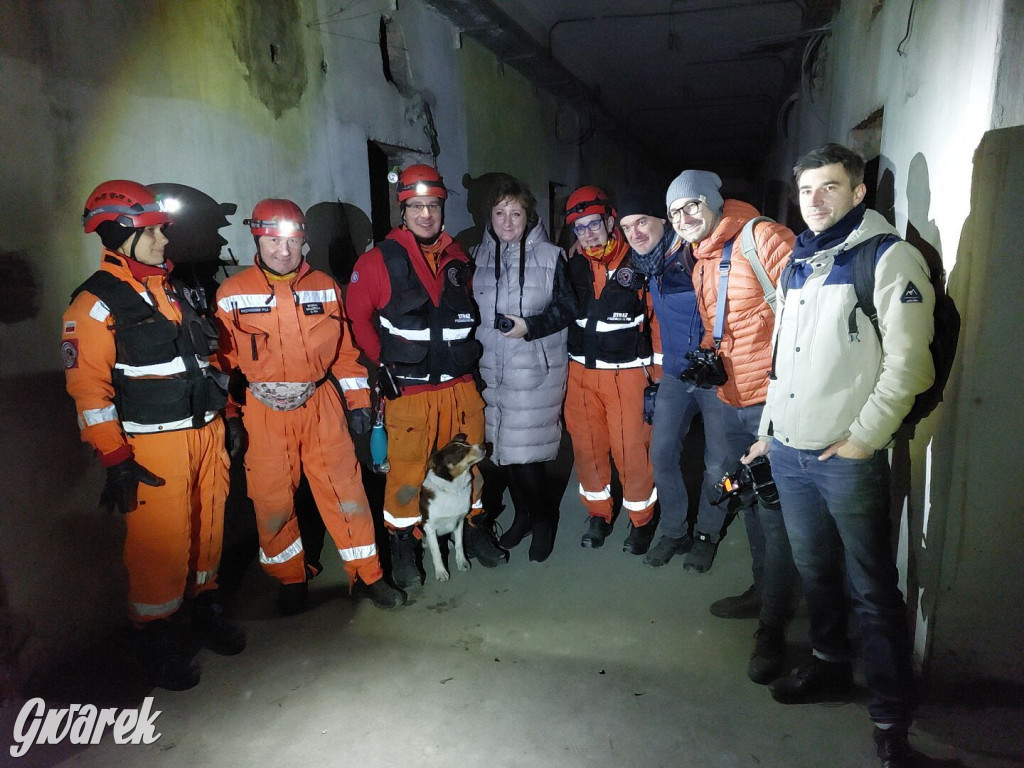 Bytom. Orzech. Niezawodny psi nos