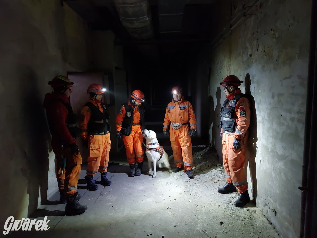 Bytom. Orzech. Niezawodny psi nos