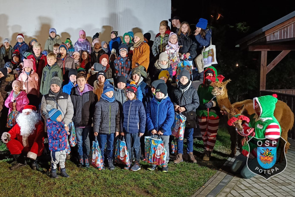 Zamiast reniferów były alpaki, mikołajki z druhami