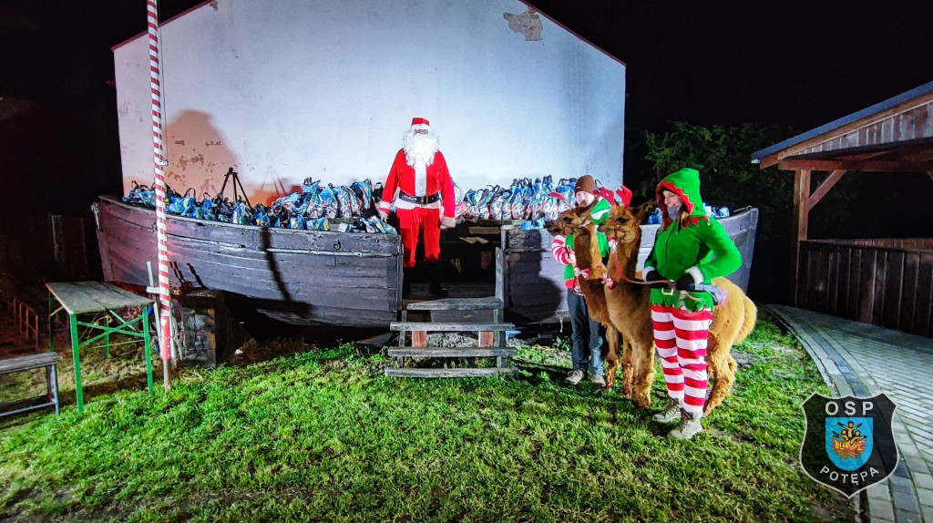 Zamiast reniferów były alpaki, mikołajki z druhami