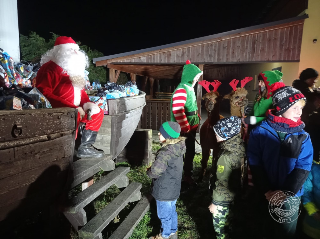 Zamiast reniferów były alpaki, mikołajki z druhami