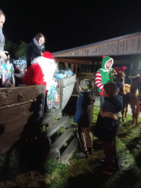 Zamiast reniferów były alpaki, mikołajki z druhami