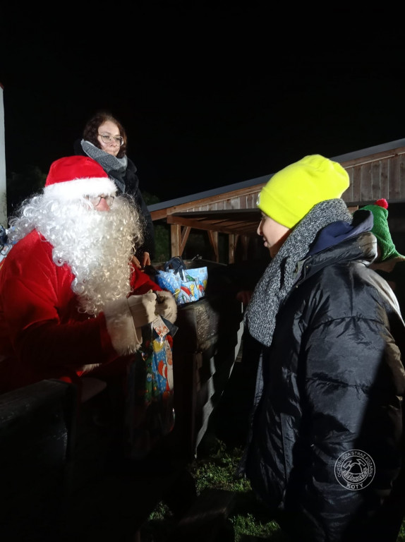 Zamiast reniferów były alpaki, mikołajki z druhami