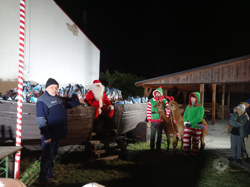 Zamiast reniferów były alpaki, mikołajki z druhami