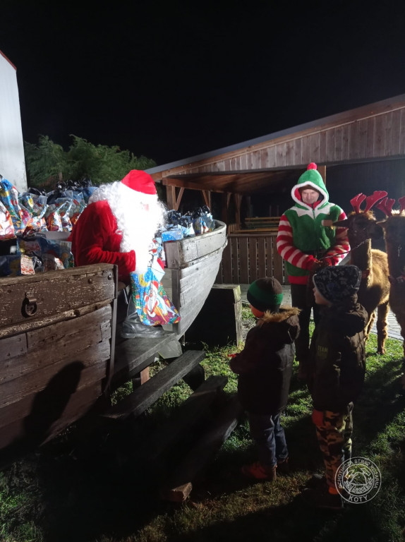 Zamiast reniferów były alpaki, mikołajki z druhami