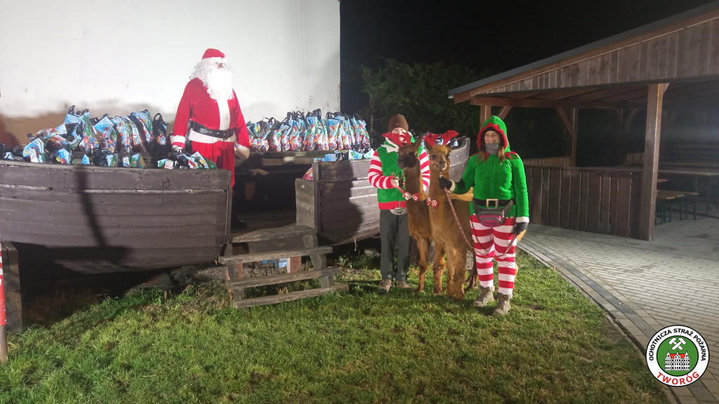 Zamiast reniferów były alpaki, mikołajki z druhami