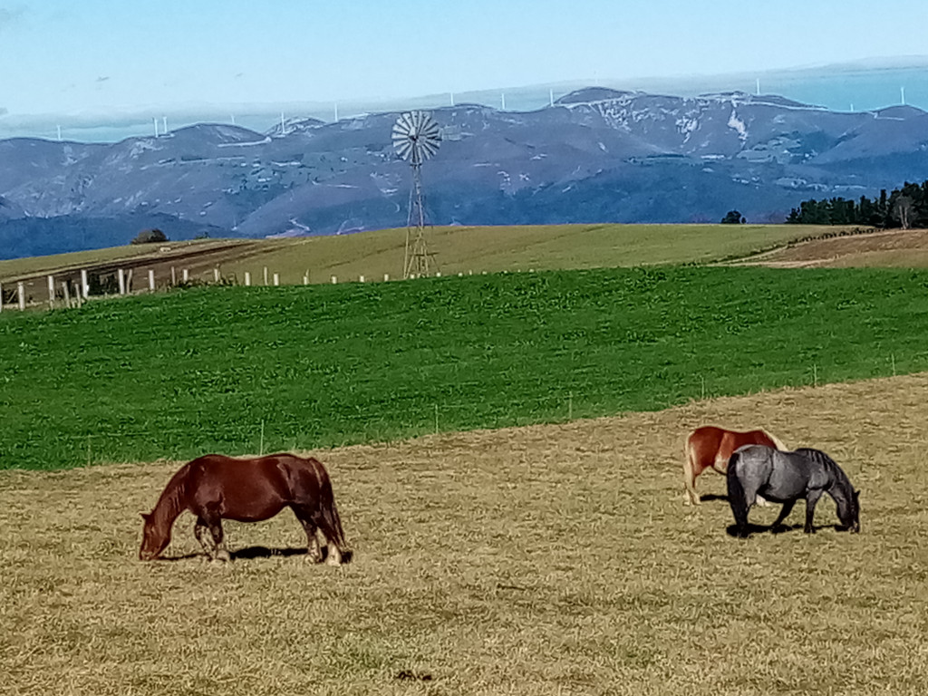 Trzeci raz Drogą świętego Jakuba