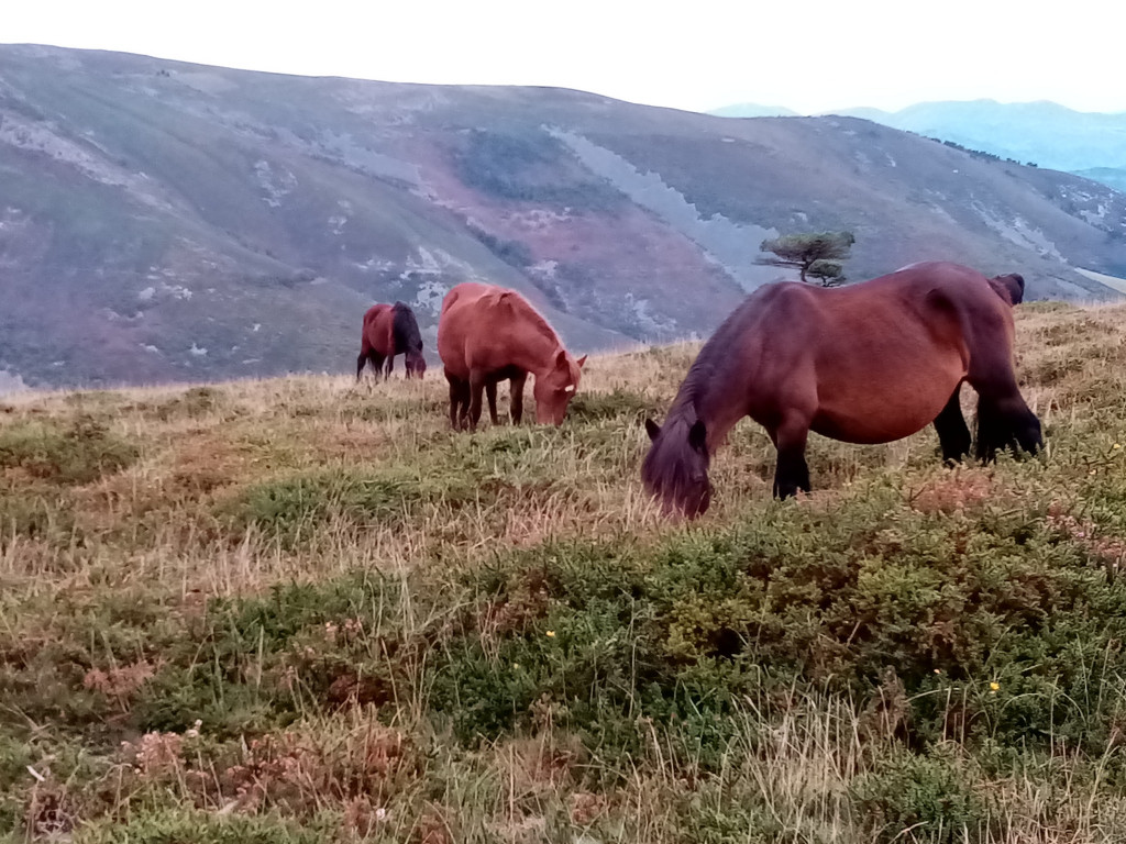 Trzeci raz Drogą świętego Jakuba