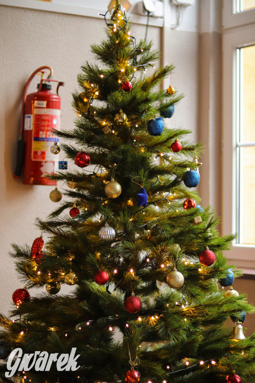 Dzień piernika w Sorbonie